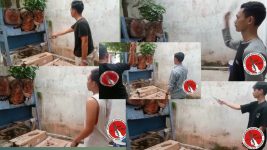 Dirgahayu Republik Indonesia ke 77 th arvian melatih TAPstyle untuk Generasi Muda